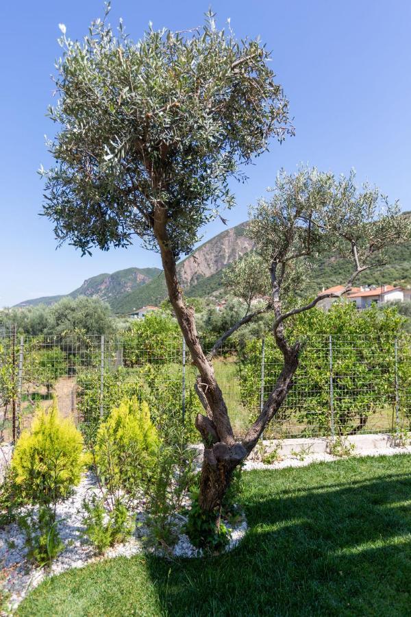 Two Olive Trees Psathópirgos Exterior foto